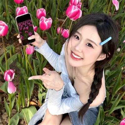 鬓边不是海棠红 海报