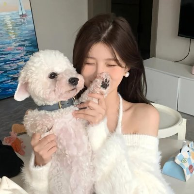 双重身份 海报